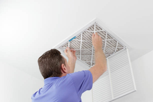 Best Mold and Mildew Removal from Ducts in Dumfries, VA